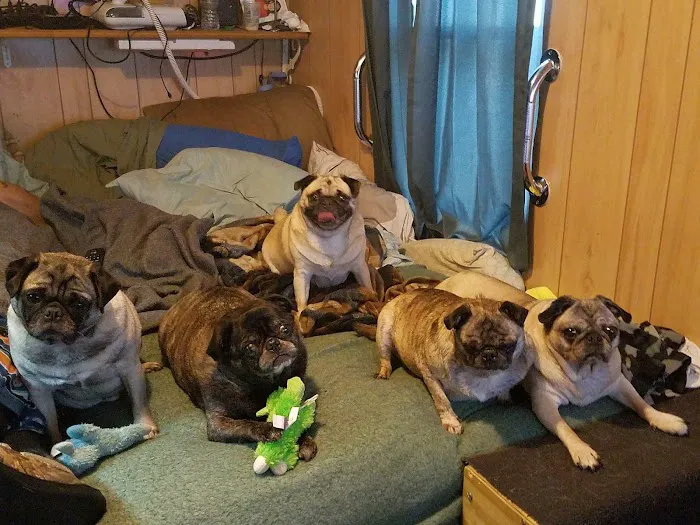 Mattapoisett Animal Hospital 2