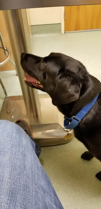 Mattapoisett Animal Hospital 8