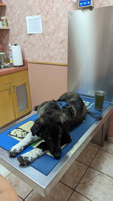 Dighton Veterinary Hospital 4