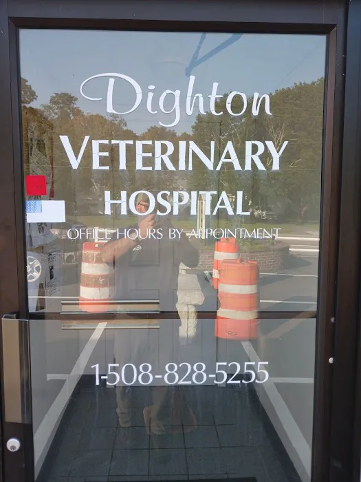 Dighton Veterinary Hospital 8