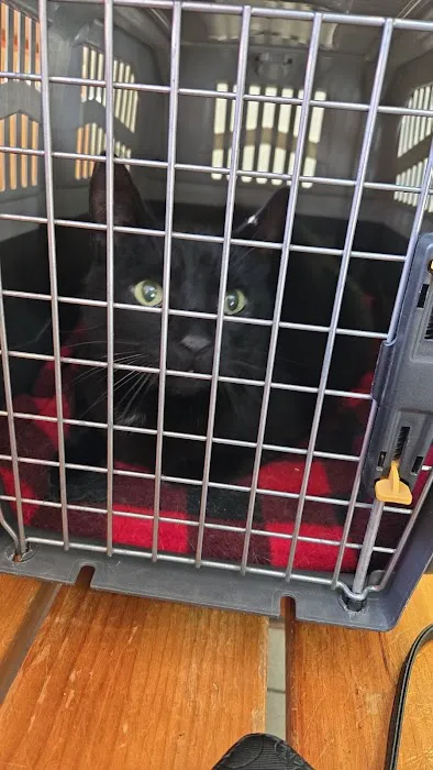 Dighton Veterinary Hospital 2