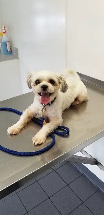 Dighton Veterinary Hospital 3