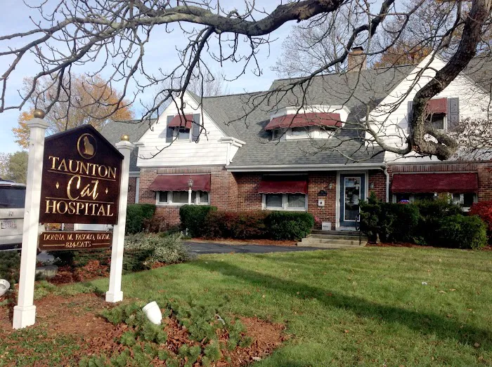 Taunton Cat Hospital 10