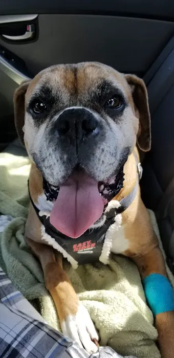 Taunton Animal Hospital 4