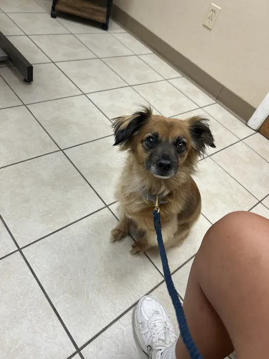 Taunton Animal Hospital 6