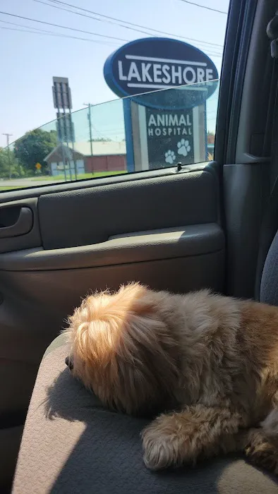 Lakeshore Animal Hospital 3