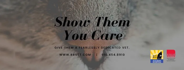 River Road Animal Hospital 5