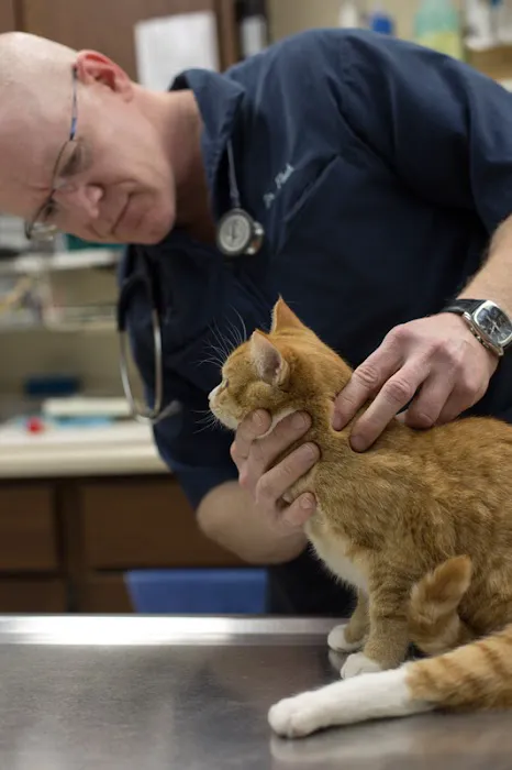 White Oak Veterinary Clinic 2