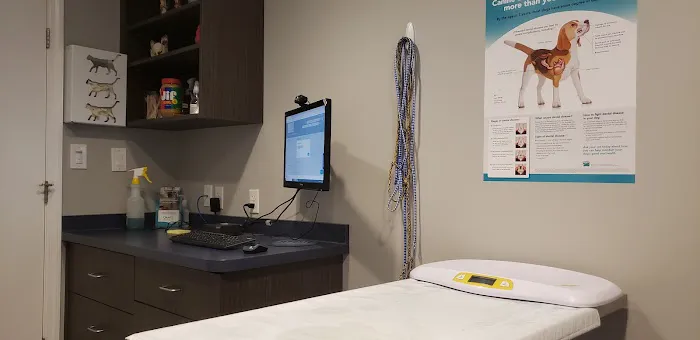 West Newton Animal Clinic 6