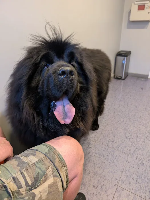 West Newton Animal Clinic 7