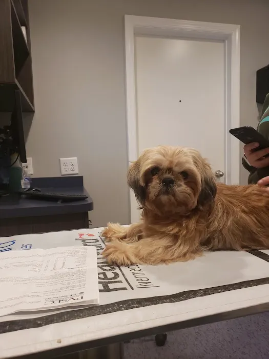 West Newton Animal Clinic 1