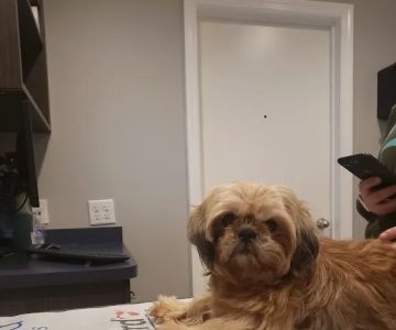 West Newton Animal Clinic