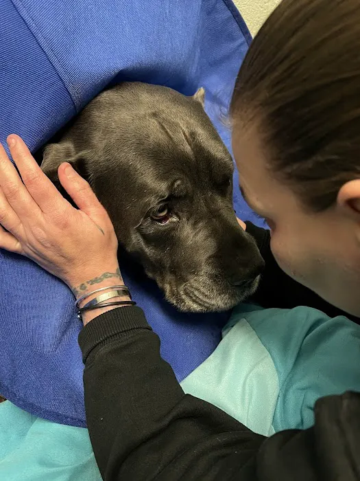 Fayette Veterinary Hospital 10