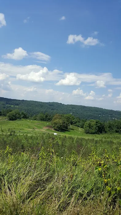 Fayette Veterinary Hospital 4