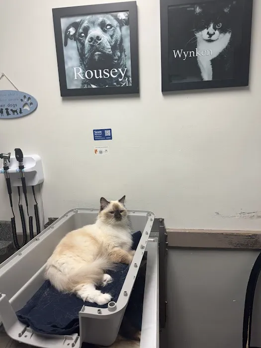 Clover Farm Veterinary Service 8