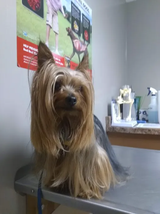 Rolling Hills Veterinary Clinic 6