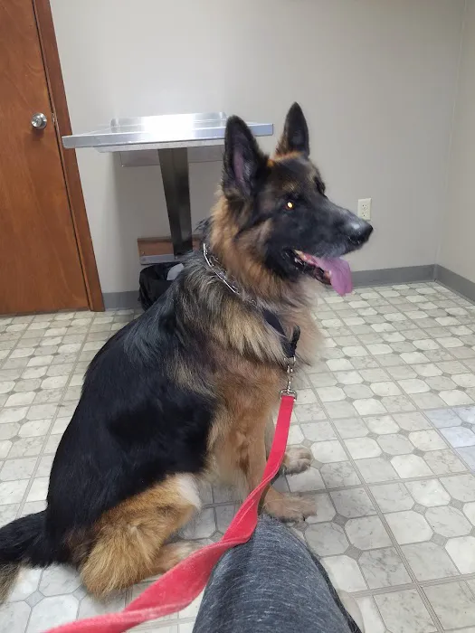 Rolling Hills Veterinary Clinic 4