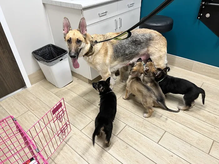 Barnes Lake Veterinary Center 4