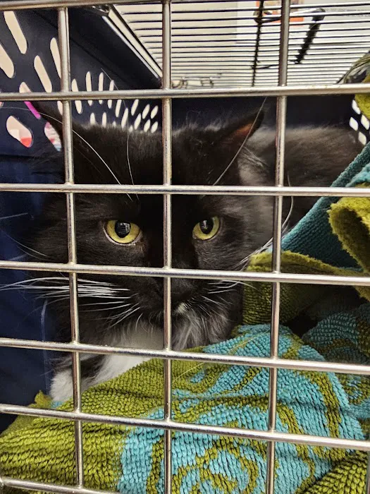 Barnes Lake Veterinary Center 2