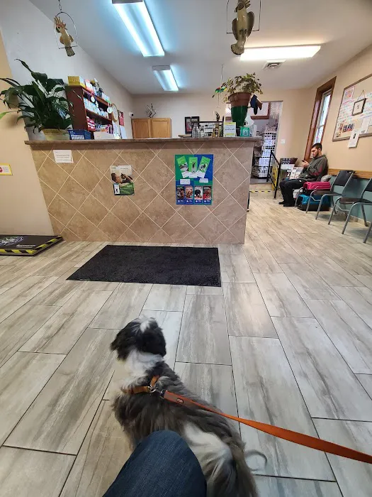 New Stanton Veterinary Service 1