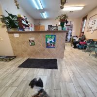 New Stanton Veterinary Service ico