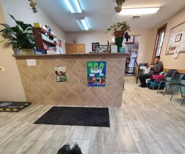 New Stanton Veterinary Service