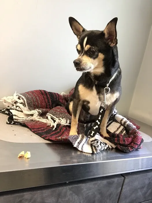 Scottdale Veterinary Clinic 7