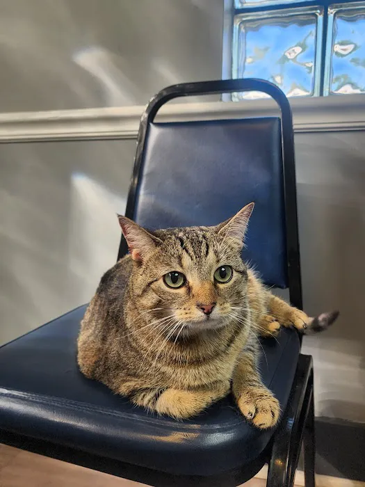 Scottdale Veterinary Clinic 3