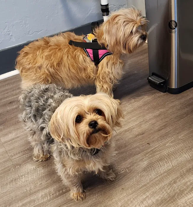 Scottdale Veterinary Clinic 4