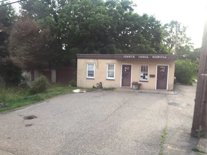 Kernick Animal Hospital 2