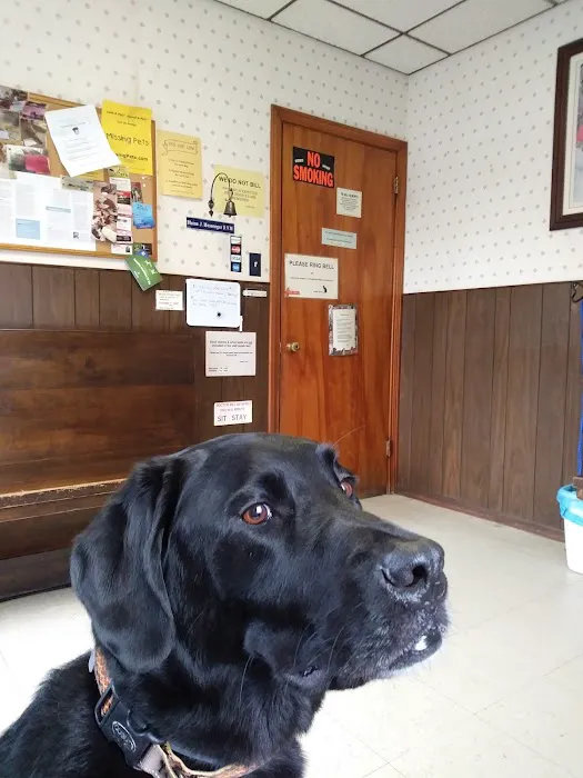 Kernick Animal Hospital 10
