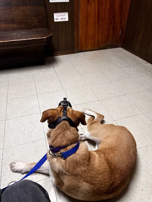 Kernick Animal Hospital 4