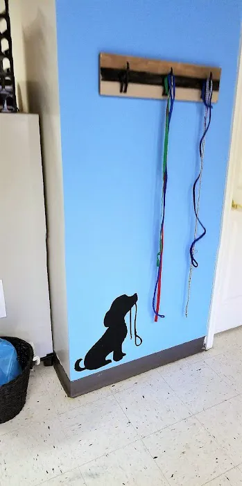 Spay Neuter Clinic: Penn Hills 7