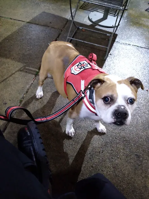 Pittsburgh Premier Veterinary Care and Rehab 1