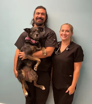 Pittsburgh Premier Veterinary Care and Rehab 2