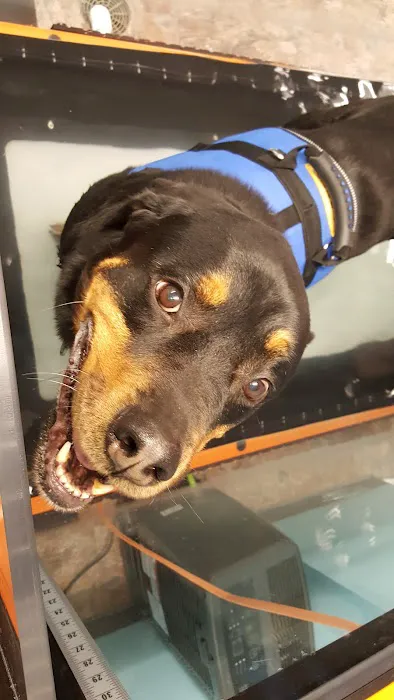 Pittsburgh Premier Veterinary Care and Rehab 8