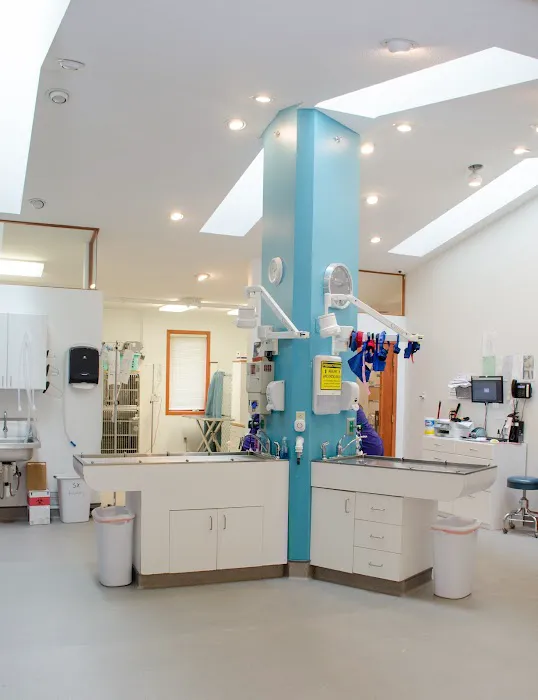 River Valley Veterinary Hospital | Fox Chapel | Oakmont | Springdale 1