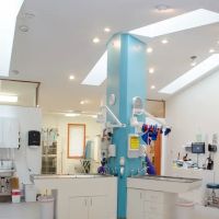 River Valley Veterinary Hospital | Fox Chapel | Oakmont | Springdale ico