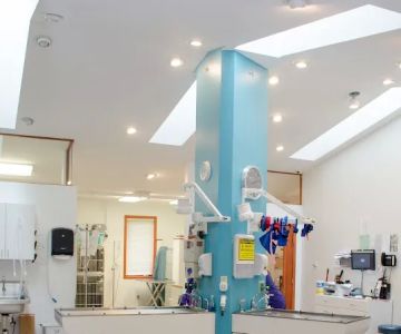 River Valley Veterinary Hospital | Fox Chapel | Oakmont | Springdale