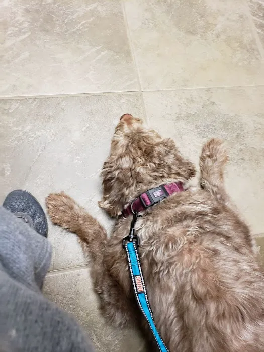VCA Valley Vet Animal Hospital 8