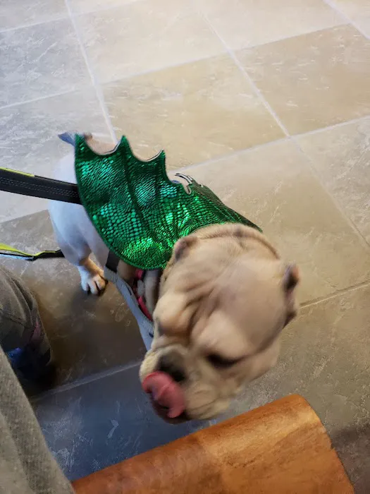 VCA Valley Vet Animal Hospital 7