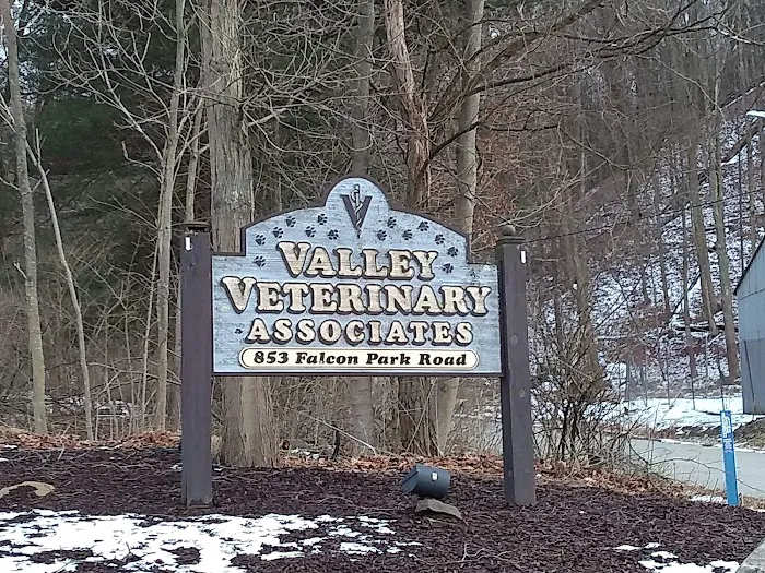 VCA Valley Vet Animal Hospital 4