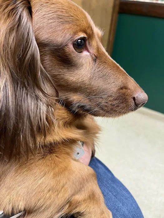 Rainbow Pet Care Center 5