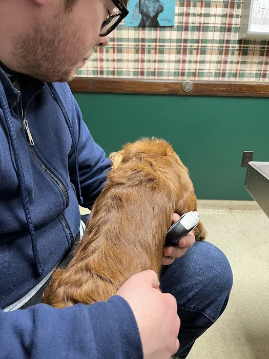 Rainbow Pet Care Center 4
