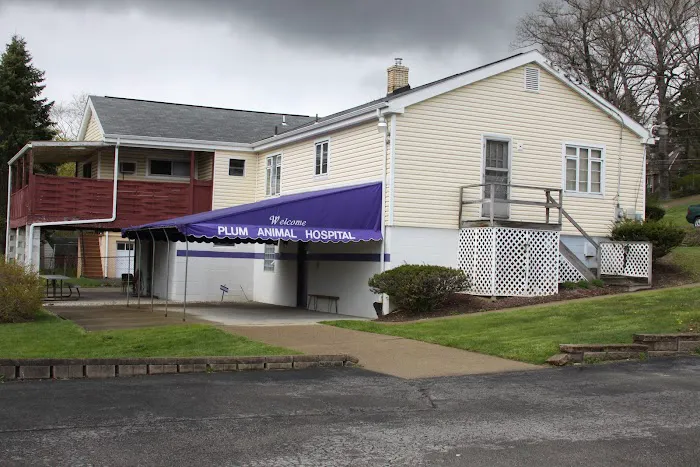 Plum Animal Hospital 6