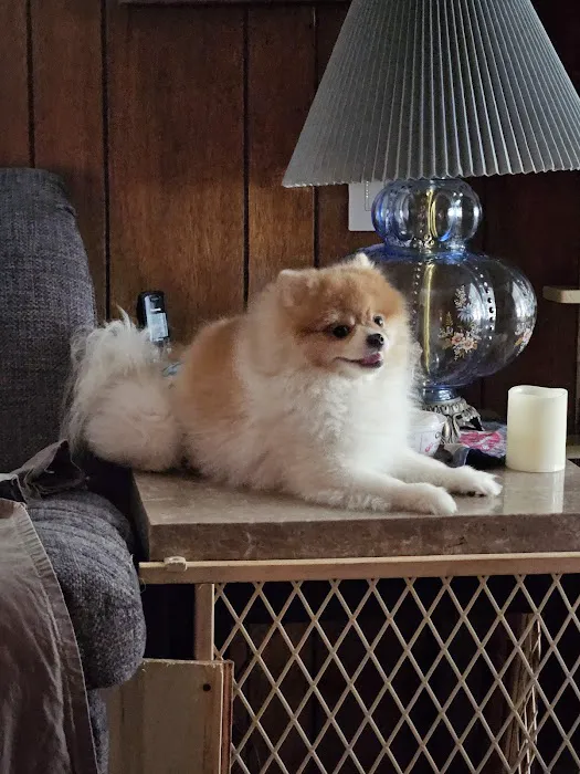 Plum Animal Hospital 4