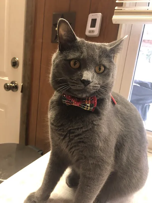 Kiski Valley Animal Clinic Inc 10