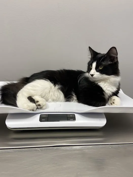 Kiski Valley Animal Clinic Inc 5