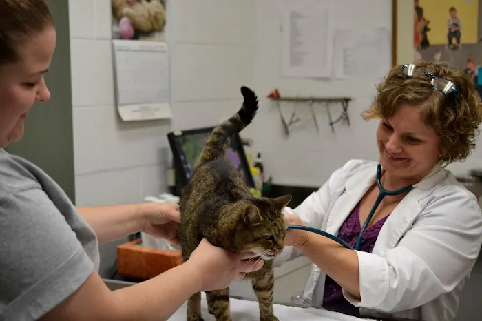 Jamestown Veterinary Hospital 9