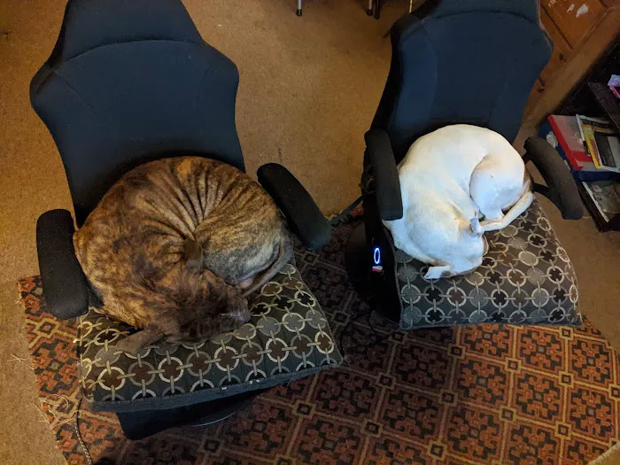 Moonbrook Veterinary Hospital 3